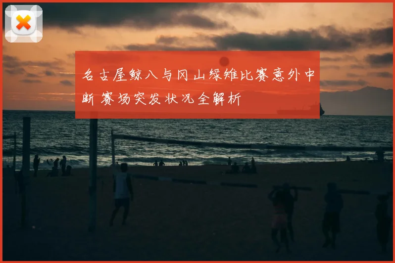 名古屋鲸八与冈山绿雉比赛意外中断 赛场突发状况全解析