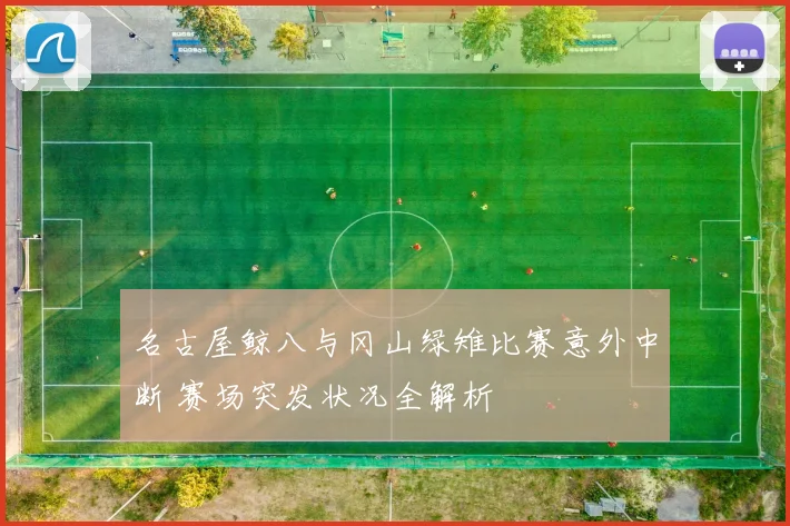 名古屋鲸八与冈山绿雉比赛意外中断 赛场突发状况全解析